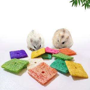 Loofah Evcil Hayvan Oyuncakları Hamsterler için Kare Bisküviler Şinşiller Kemirgenler Doğal Diş Taşlama Temizleme Sindirim Yardımı Evcil Hayvan Çiğneme Malzemeleri - Product Image 2