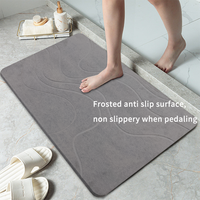 Tapis de Bain en Terre de Diatomée à Séchage Rapide pour Salle de Bain, Design Personnalisé, Tapis de Douche Absorbant