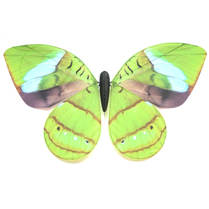 <span class=keywords><strong>Drone</strong></span> à ailes battantes bioniques, télécommandé, ailes légères, pour décoration de mariage, concert, éducation - Product Image 3