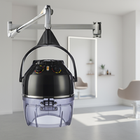 Appareil de coiffure haut de gamme de qualité supérieure pour salon de coiffure, sécheuse à vapeur, machine à huile de beauté, montage mural ou sur pied pour salon de coiffure