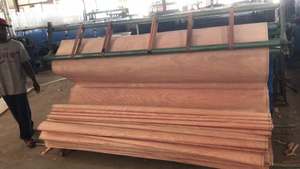 China Wholesale Natural <strong>Wood</strong> <strong>Veneer</strong> 0.15-1mm Natural Okoume Bintangor Birch Poplar <strong>Veneer</strong> for Interior and Furniture Decoration - Product Image 5