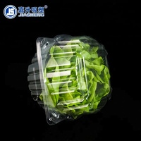 Groothandel wegwerp voedselveilige transparante PET verpakking clamshell container voor sla, fruit en groenten