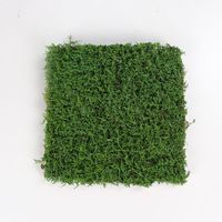 Pabrik Grosir Blok Lumut Rambut Abu-abu Besar Lumut Rambut Putih Daun Sempit untuk Dekorasi Luar Ruangan Tanaman Buatan untuk Proyek Teknik