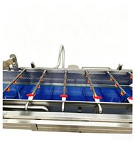 Industriële voedsel-, fruit- en groentereinigingsmachine, automatische bubbelreiniger voor groenten en oesters
