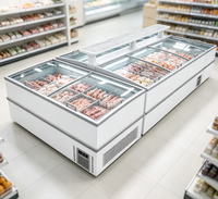 Congelador Comercial Combinado de Una Sola Temperatura, Usado, Directo de Fábrica, con Control Digital de Temperatura, Gran Capacidad y Pantalla