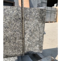 Carreaux de granit noir poli naturel de Chine 60X30X2 CM