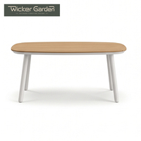 Conjunto de Mesa de Comedor Moderna para Exteriores con Tablero de Madera Plástica y Sillas de Cuerda para 4 Personas, Venta al Por Mayor Personalizada