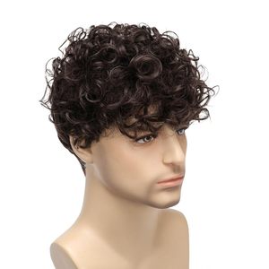 <span class=keywords><strong>Parrucca</strong></span> da <span class=keywords><strong>uomo</strong></span> europeo-americana con capelli corti ricci castani, elegante e di tendenza, con piccoli riccioli, realizzata a macchina con filo resistente alle alte temperature - Product Image 3