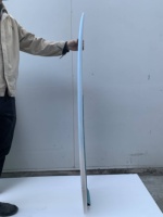 Fabricant de planches de surf en Chine OEM/ODM Skimboard en fibre de carbone personnalisé planches de surf wakeboard