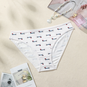 Tùy Chỉnh Mô Hình Dachshund Tóm Tắt Thoải Mái Đồ Lót Vật Nuôi Của Phụ Nữ Quần Lót Con Chó In Đồ Lót Màu Trắng Hàng Ngày - Product Image 5