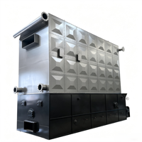 Chauffe-huile thermique à biomasse de 1400 kW, 1800 kW, 2400 kW, 3000 kW, 3500 kW, 4200 kW pour l'industrie chimique, du caoutchouc, du textile et du traitement du bois