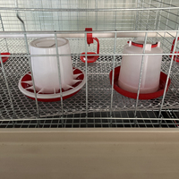 Cage à poussins et poulets de chair à petit prix avec système d'abreuvement automatique à vendre