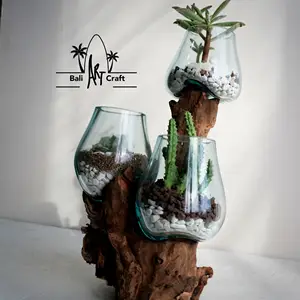 透明桌面圆形花瓶鱼玻璃容器玻璃碗罐容器DIY套件，两种植物其他景观装饰