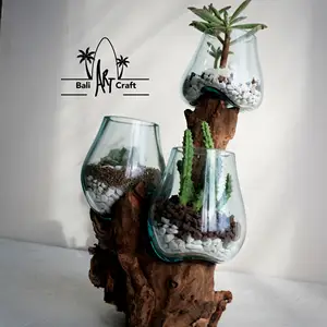 Doorzichtige Desktop Ronde Vazen Vis Terrarium Glazen Kom Pot Terrarium Diy Kit Met Twee Planten Andere Landschapsarchitectuur