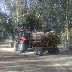 WS3500 Corte de troncos grandes Sierra de cinta horizontal corte de madera dura - Product Image 5