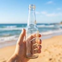 Bouteille de bière en verre transparent avec bouchon couronne, surface lisse, fabrication en gros