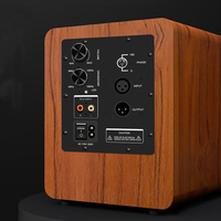 Amplificateur de basses audio professionnel panneau arrière 200W ou 1000W DAC carte de caisson de basses audio numérique