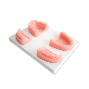 Vivid Suture Dental Pad Suturing Training Model