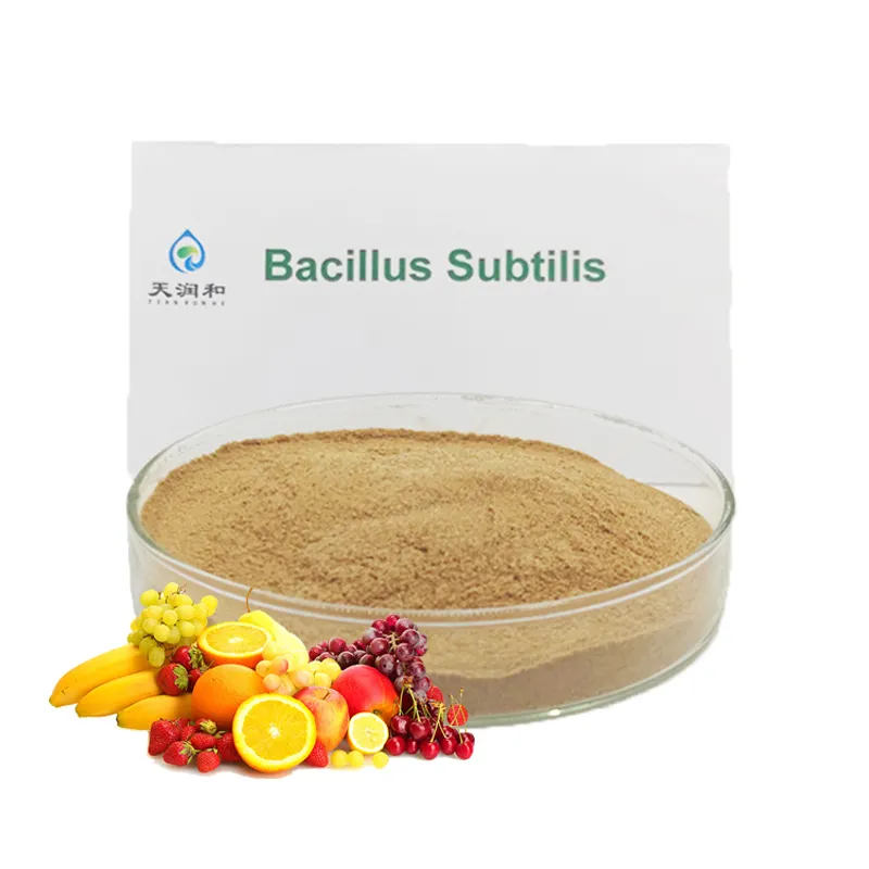 뿌리 성장 Bacillus Subtilis 발효 촉진