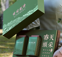 Yeşil Çay Longjing Çayı Dragon Well Gevşek Yaprak Yağmurdan Önce Hasat 250g Hediye Çantası Yüksek Kaliteli Taze Sağlıklı Çay