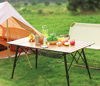Table de camping pliable en alliage d'aluminium ultralégère et moderne pour les voyages et les activités de plein air