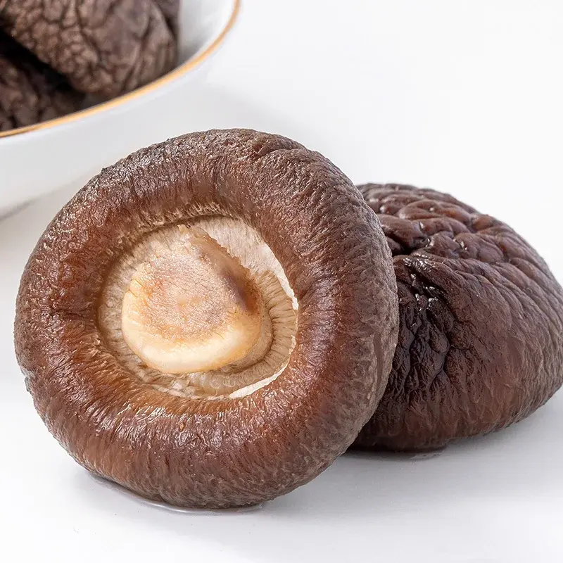 Vente en gros de champignons shiitake séchés naturels de haute qualité