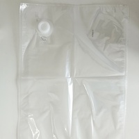 Sacs aseptiques transparents PA/PE avec valve, marque Flexbo, tailles personnalisables pour la désinfection des mains et les soins personnels