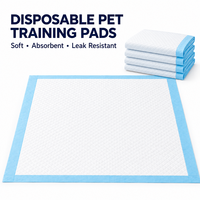 Tapis de propreté jetables pour chiots, avec noyau en pâte à papier à absorption rapide, dessus doux et base imperméable, pour l'apprentissage de la propreté en intérieur