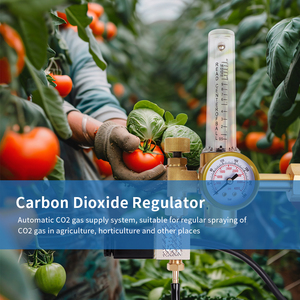 Regolatore di controllo <span class=keywords><strong>CO2</strong></span> per la vendita all'ingrosso di biossido di carbonio regolatore di <span class=keywords><strong>CO2</strong></span> per gli impianti di serra - Product Image 5