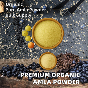 Poudre d'Amla 100% Pure, Séchée Naturellement, Qualité Premium, Bio, Style Frais, Approvisionnement en Vrac, Vente en Gros, HP Valia 24 - Product Image 6