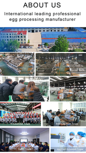 Macchina rotativa automatica per rompere le uova 8400 pcs/h dispositivo separatore di guscio d'uovo cuscinetto pompa del motore per la linea di lavorazione delle uova - Product Image 3