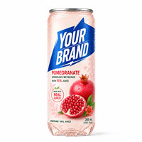 Fabrieksdirect Zero Calorie Fruit 300ml Sprankelend Water Zonder Suiker Gezonde Koolzuurhoudende Frisdrank Aangepaste Verpakking