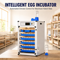 Incubateur d'œufs de volaille entièrement automatique avec remplissage automatique d'eau, contrôle constant de la température, capacité de 140 à 500 œufs, machine à couver