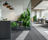 Dalles de moquette à poils ras, pose libre, 50x50, en PVC, avec support en PET, résistantes aux taches, faciles à nettoyer, pour bureaux, salles de classe et espaces professionnels.