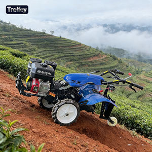 Tracteur autotracté 4x4 avec roulement à billes, largeur de travail de 70 cm pour un travail efficace de labourage et de buttage dans les jardins et petites exploitations agricoles - Product Image 1
