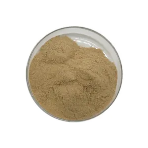 Usine Vendre Bon Prix Aloin Poudre Extrait D'aloe Vera - Product Image 1