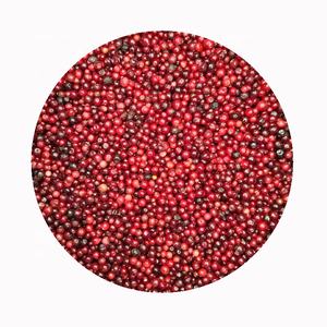 Vente en gros fournisseur export prix IQF fruits surgelés canneberge nature comestible Sd emballage en vrac canneberge décor chine 10 Kg 1 tonnes - Product Image 5