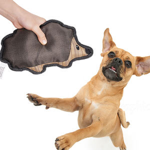 Üretici toptan bite dayanıklı tesling malzeme chew sincap şekli köpek doldurulmuş oyuncaklar - Product Image 4