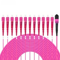12 Fiber Mtp Ke Sc Fanout Jumper Om4 Sc Multimode Mpo 24 Lc 1m Fiber Jumper Afrika Selatan Bersertifikat Iso Mpo Fiber Patch Cord
