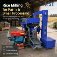Équipement de rizerie : Petite machine à décortiquer et blanchir le riz paddy pour le traitement agricole, les petites rizeries et l'usage commercial