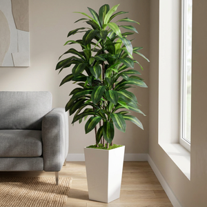 Dracaena Fragrans Artificiale Brasiliana in Vaso, Albero Decorativo <span class=keywords><strong>da</strong></span> 120-150 cm, Pianta Verde per Interni, Casa, Ufficio, Hotel, Arredamento Paesaggistico - Product Image 1