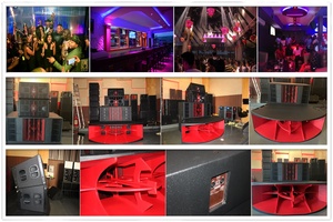 WOLF-210 3way double 10 pollici Matrix array speaker sound muslimb Communication media Electronic dance music - Product Image 4