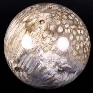 Esfera de Coral Fósil Natural Pulido al por Mayor, Piedra de Cristal Curativa para Decoración del Hogar y Regalos - Product Image 6