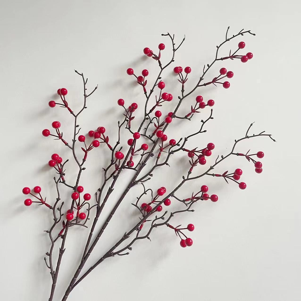 28 fruits d'acacia