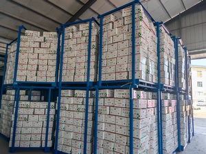 <span class=keywords><strong>Ail</strong></span> blanc frais de qualité supérieure, nouvelle récolte, de la marque Optimum, fournisseurs <span class=keywords><strong>chinois</strong></span>, prix de gros bas pour l'importation en vrac - Product Image 6