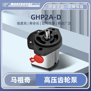 ปั๊มเกียร์ Marzucci รุ่น GHP2A-D-691012131620222530374050-FG ไฮดรอลิกสำหรับใช้งานในอุตสาหกรรม - Product Image 4