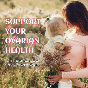 مكمل غذائي عشبي لتدفئة الرحم وتغذية المبيض، حبوب مستخلص الأعشاب الطبيعية، مكمل غذائي للصحة الأنثوية - Product Image 5