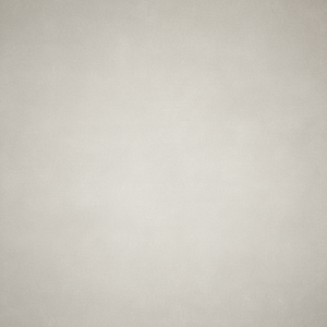 แผ่นผนังป้องกันโรคราน้ำค้างผนังหุ้มผนัง - Product Image 1