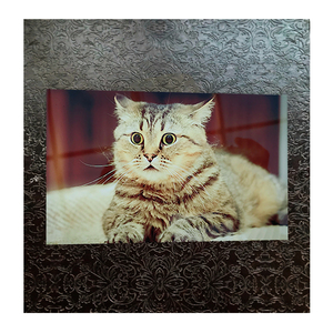 Imprimés en métal HD blanc brillant 16 "x 20" 1.15mm Feuilles d'aluminium à sublimation haute définition Imprimés en métal - Product Image 2