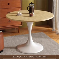 Table basse moderne minimaliste en dalle de pierre à motif tulipe de luxe, table de réunion compacte tendance pour la maison